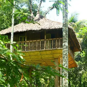 Kalidasa Tree House And Villa, Wayanad Chegāt